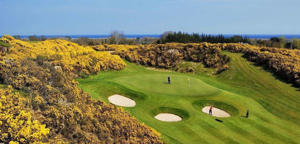 Druids Glen Resort Newtown Mount Kennedy Екстериор снимка