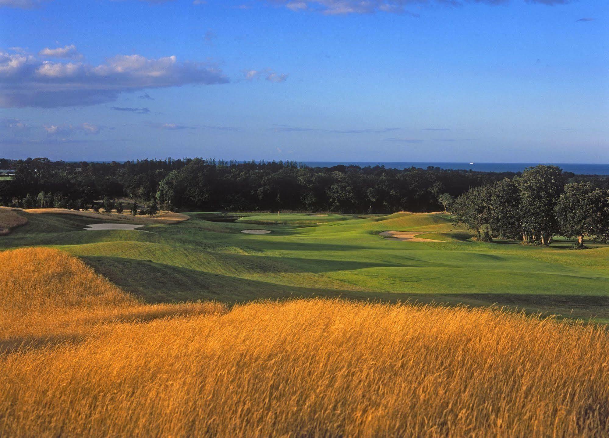 Druids Glen Resort Newtown Mount Kennedy Екстериор снимка