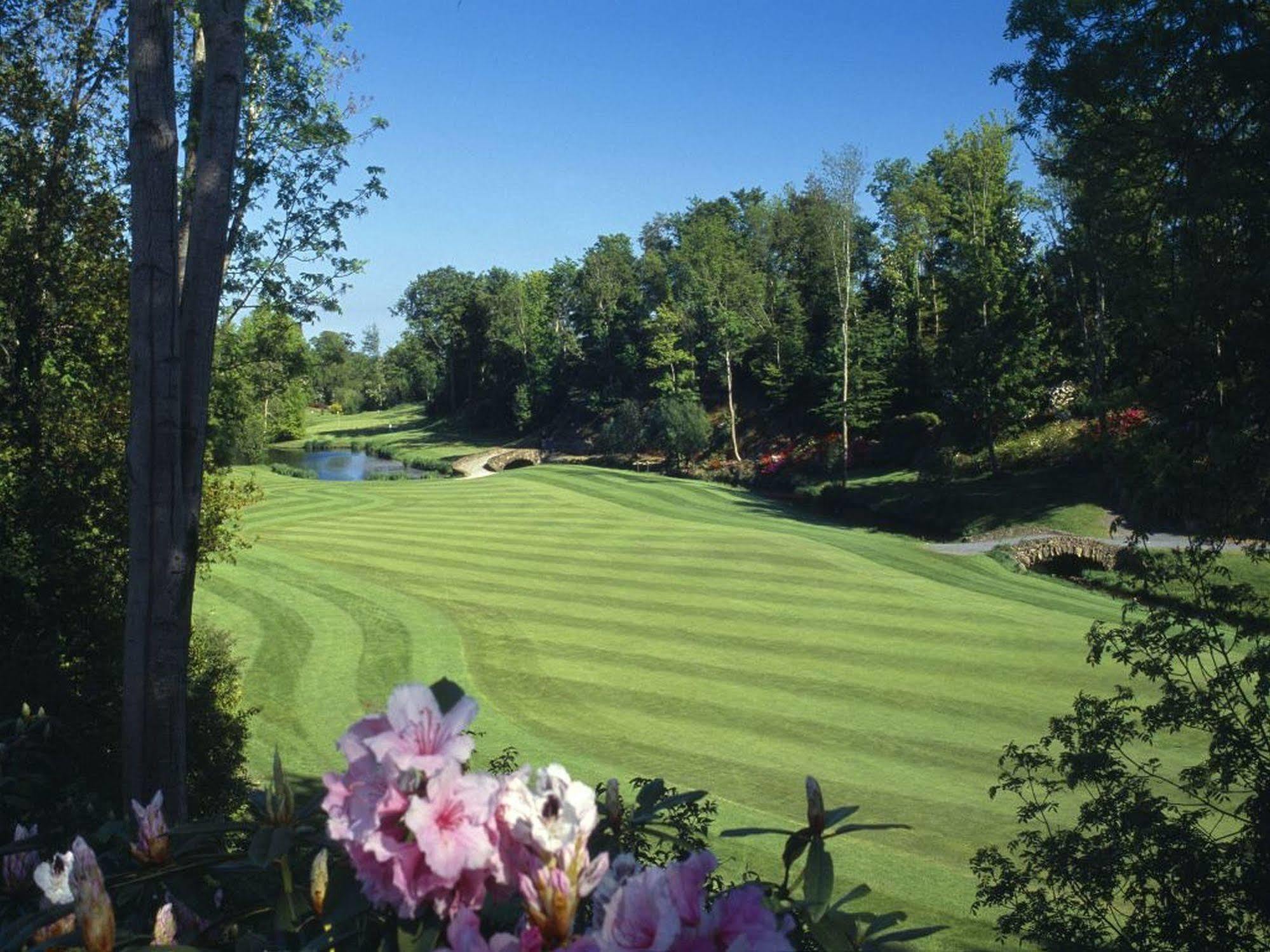 Druids Glen Resort Newtown Mount Kennedy Екстериор снимка