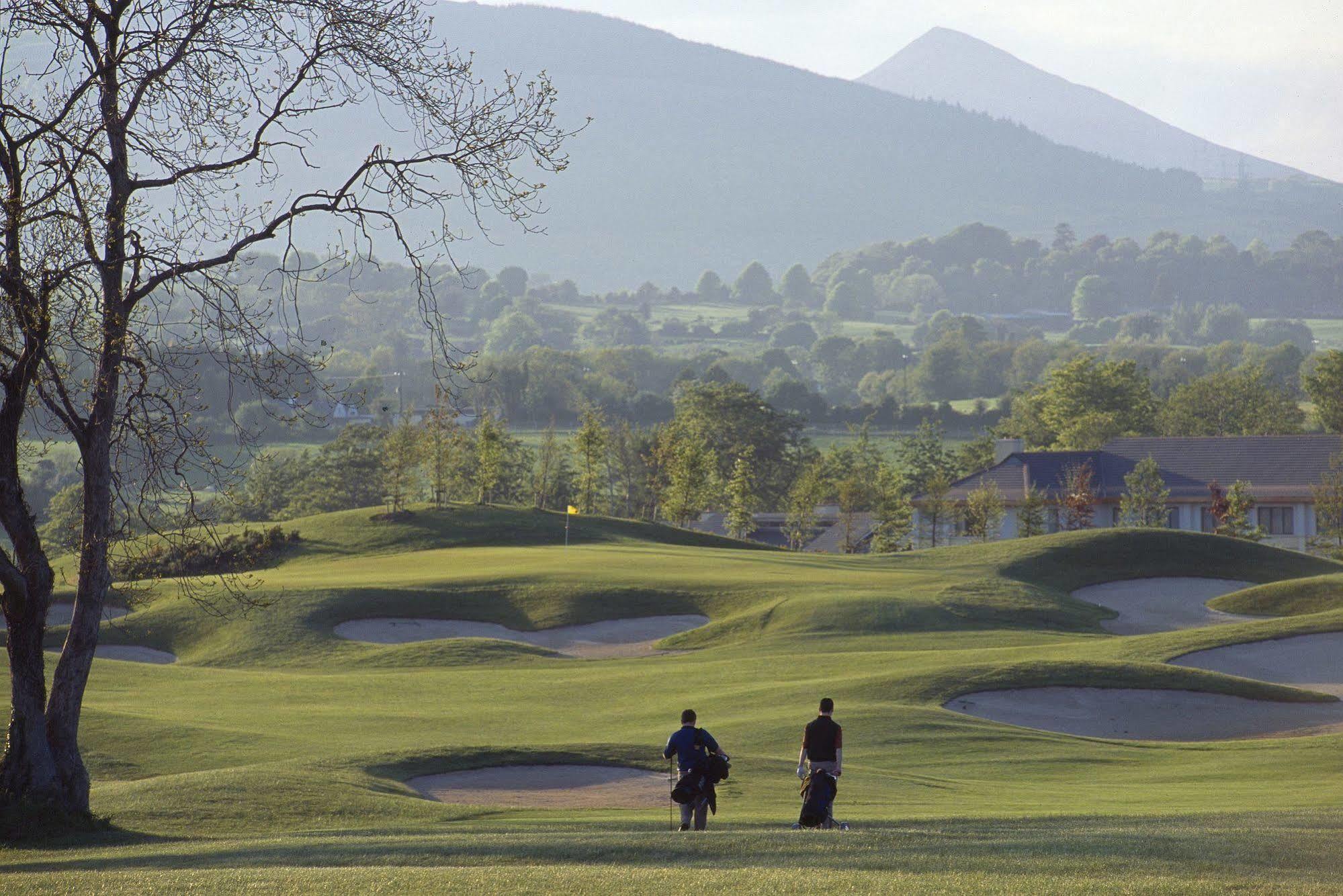 Druids Glen Resort Newtown Mount Kennedy Екстериор снимка